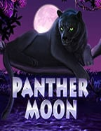 รีวิวรับสมัครเว็บพนัน: ประสบการณ์ตรงจากผู้เล่น